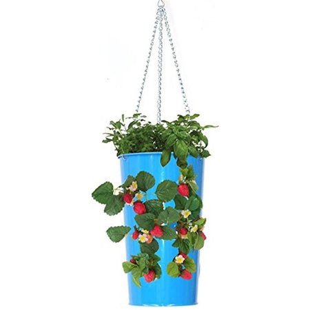 NEXT2NATURE 7 in. x 12 in. Enameled Galvanized Hanging Strawberry; Floral Planter - Blue NE1810488